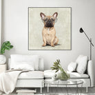 Mr French Bulldog by Roberta Jean Pharelli on GIANT ART - white digital painting