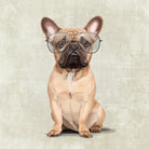 Mr French Bulldog by Roberta Jean Pharelli on GIANT ART - white digital painting