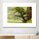 Nature mountain sunrise landscape tree by Retno Asih Mustakimah on GIANT ART - green photo manipulation