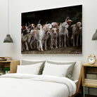 dog herd canine animal pet hounds by Retno Asih Mustakimah on GIANT ART - brown photo manipulation