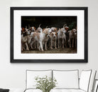 dog herd canine animal pet hounds by Retno Asih Mustakimah on GIANT ART - brown photo manipulation