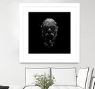 Socrates by Rinat Mirassov on GIANT ART - black 3d art