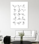 Birds by Edmund Maier on GIANT ART - white digital painting