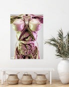 The Floral Project 2 by Antoni Tudisco on GIANT ART - 3d art