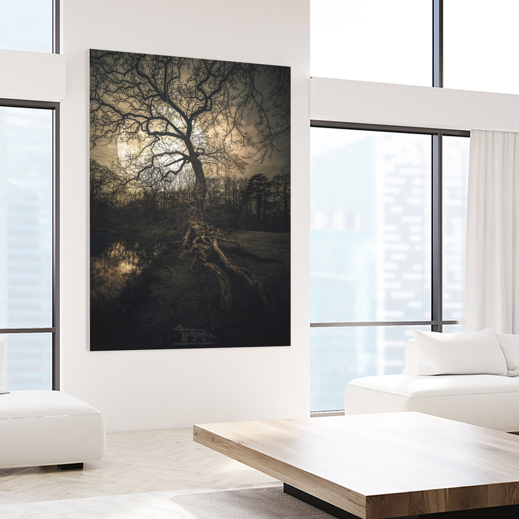 Loughtons Forest by Steven Sandner on GIANT ART - white digital drawing