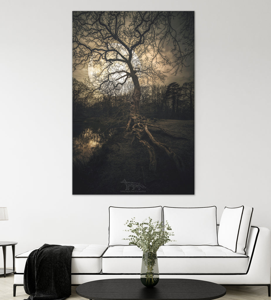 Loughtons Forest by Steven Sandner on GIANT ART - white digital drawing