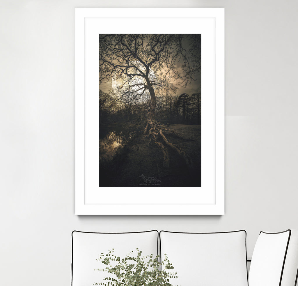 Loughtons Forest by Steven Sandner on GIANT ART - white digital drawing