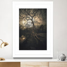 Loughtons Forest by Steven Sandner on GIANT ART - white digital drawing