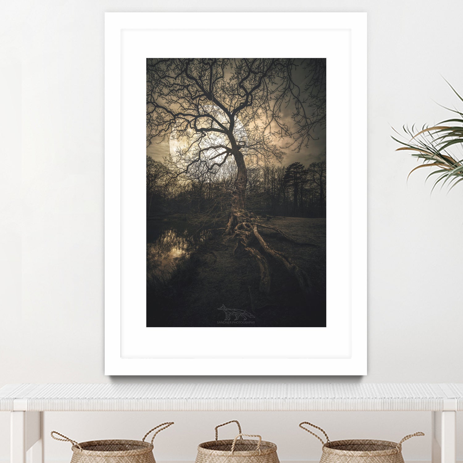 Loughtons Forest by Steven Sandner on GIANT ART - white digital drawing