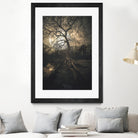 Loughtons Forest by Steven Sandner on GIANT ART - white digital drawing