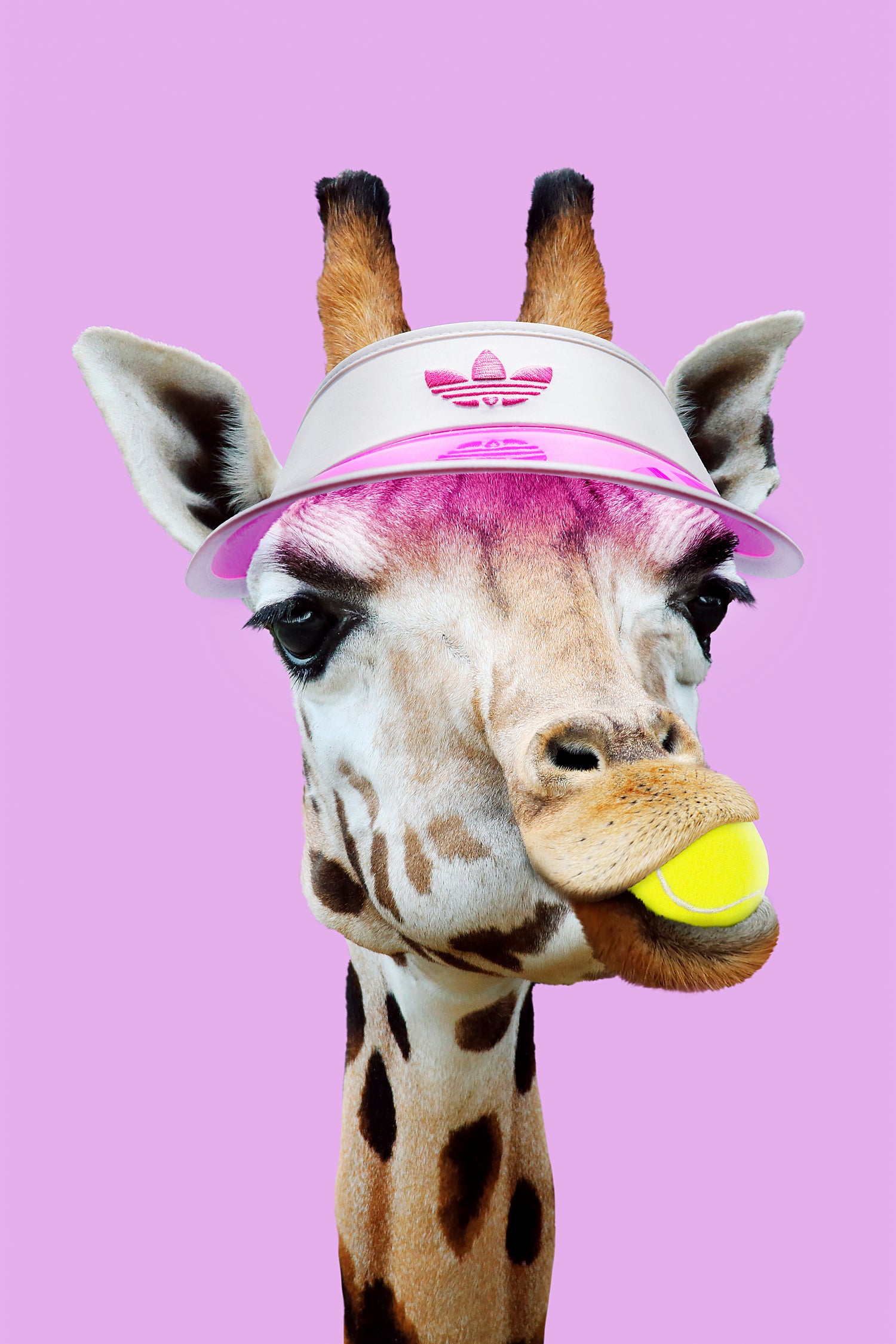 TENNIS GIRAFFE by Jonas Loose on GIANT ART - fuchsia photo manipulation