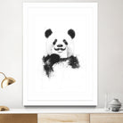 Funny panda by Solti Balázs on GIANT ART - white digital drawing