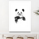 Funny panda by Solti Balázs on GIANT ART - white digital drawing