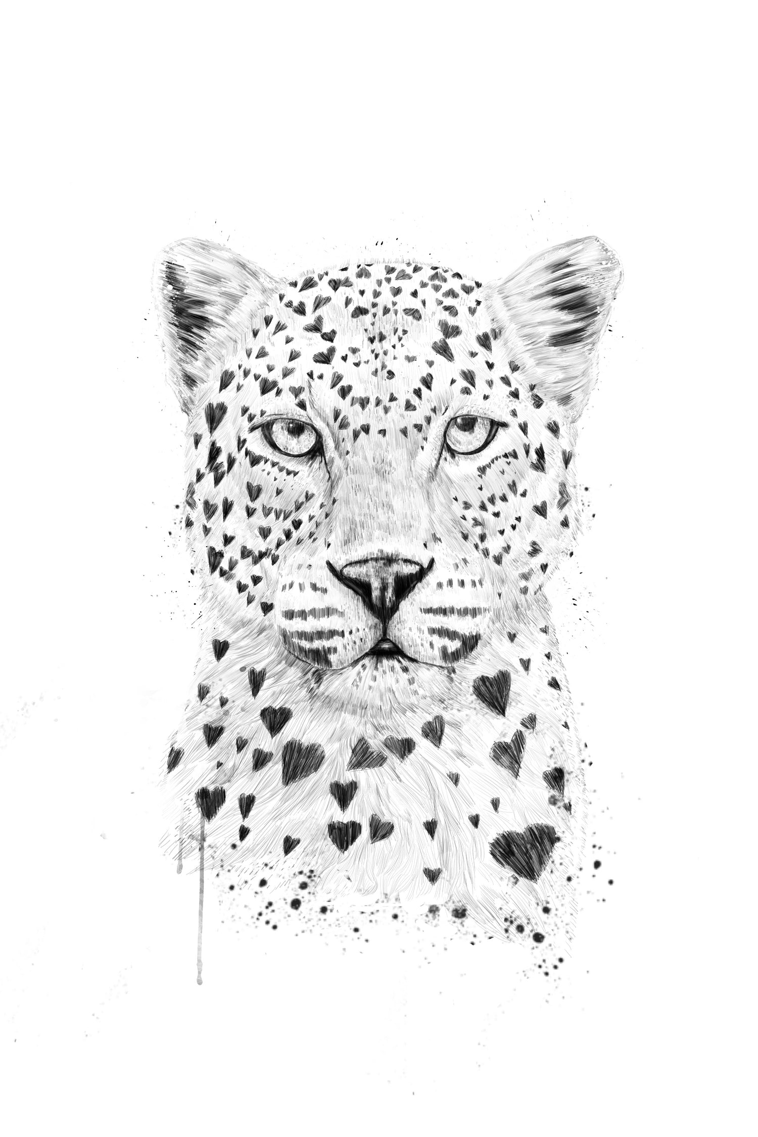 Lovely leopard by Solti Balázs on GIANT ART - white digital drawing