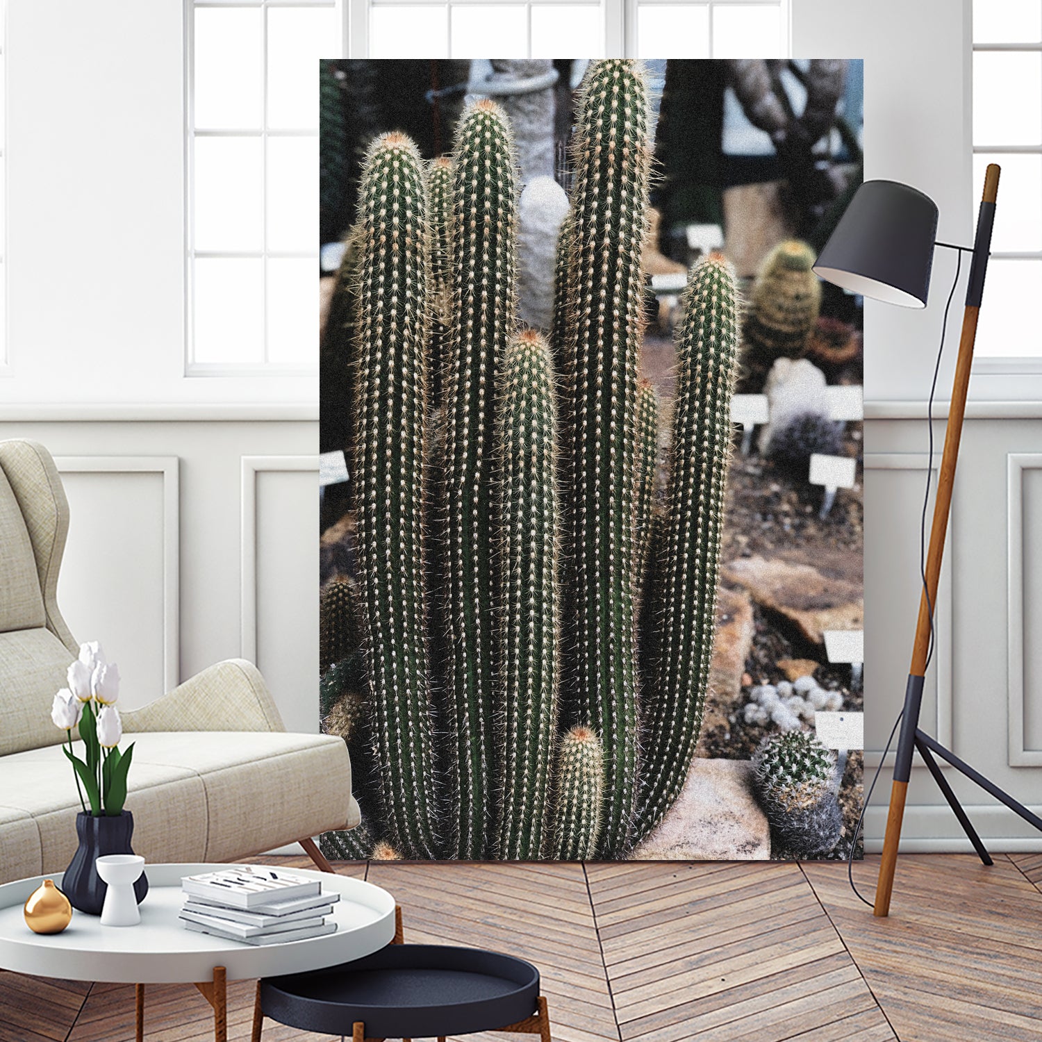 Micranthocereus Cactus by Anastasia Sawall on GIANT ART - green photo illustration