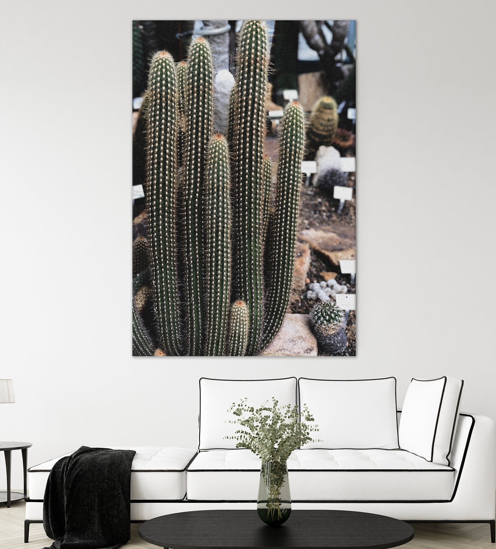 Micranthocereus Cactus by Anastasia Sawall on GIANT ART - green photo illustration