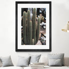 Micranthocereus Cactus by Anastasia Sawall on GIANT ART - green photo illustration