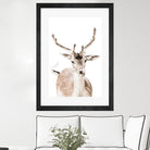 Deer I by Victoria Frost on GIANT ART - white photo manipulation