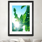 Banana Leaves Delight #1 #tropical #decor #art by Anita & Bella Jantz on GIANT ART - green photo illustration