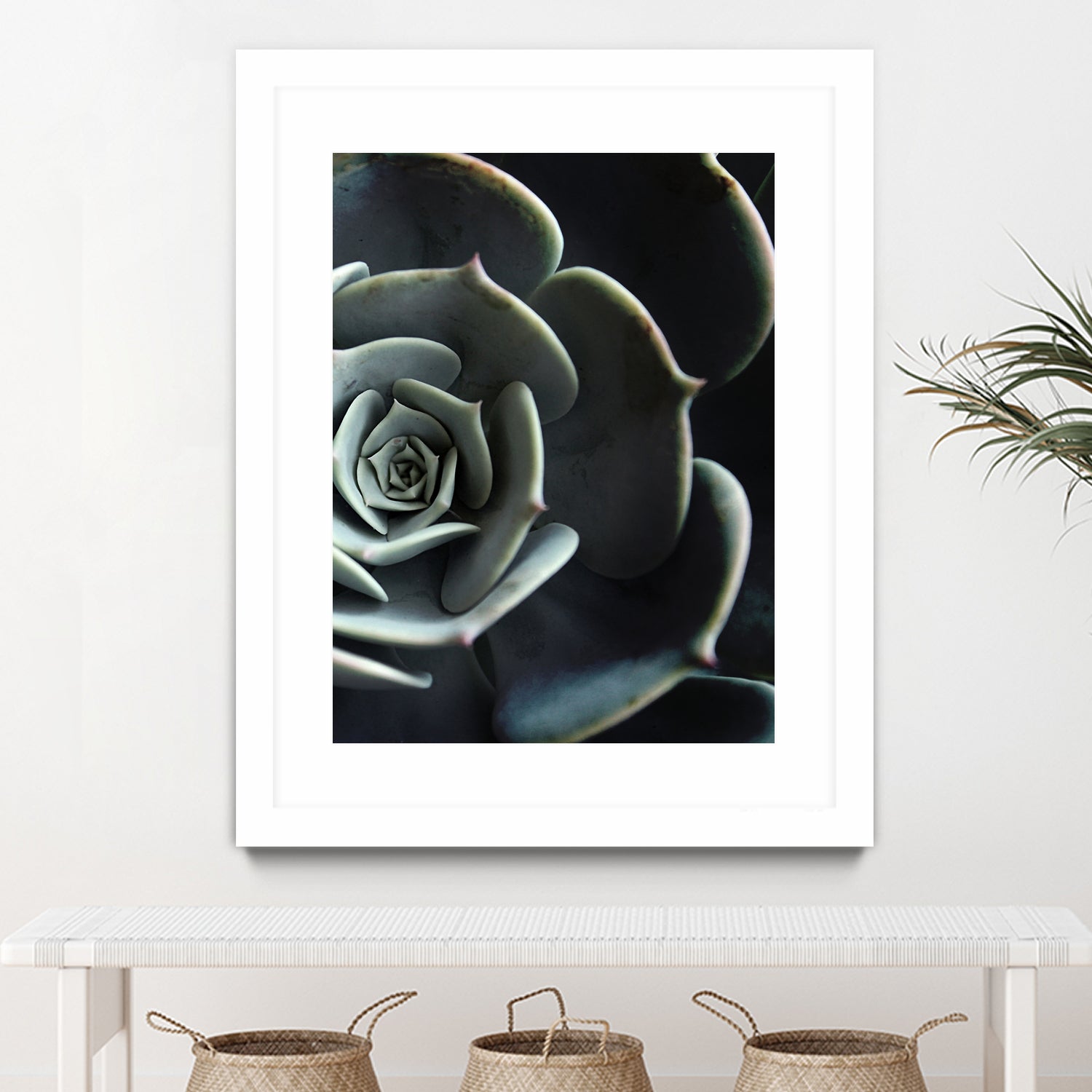 DARKSIDE OF SUCCULENTS XVI-B by Pia Schneider on GIANT ART - black photo manipulation