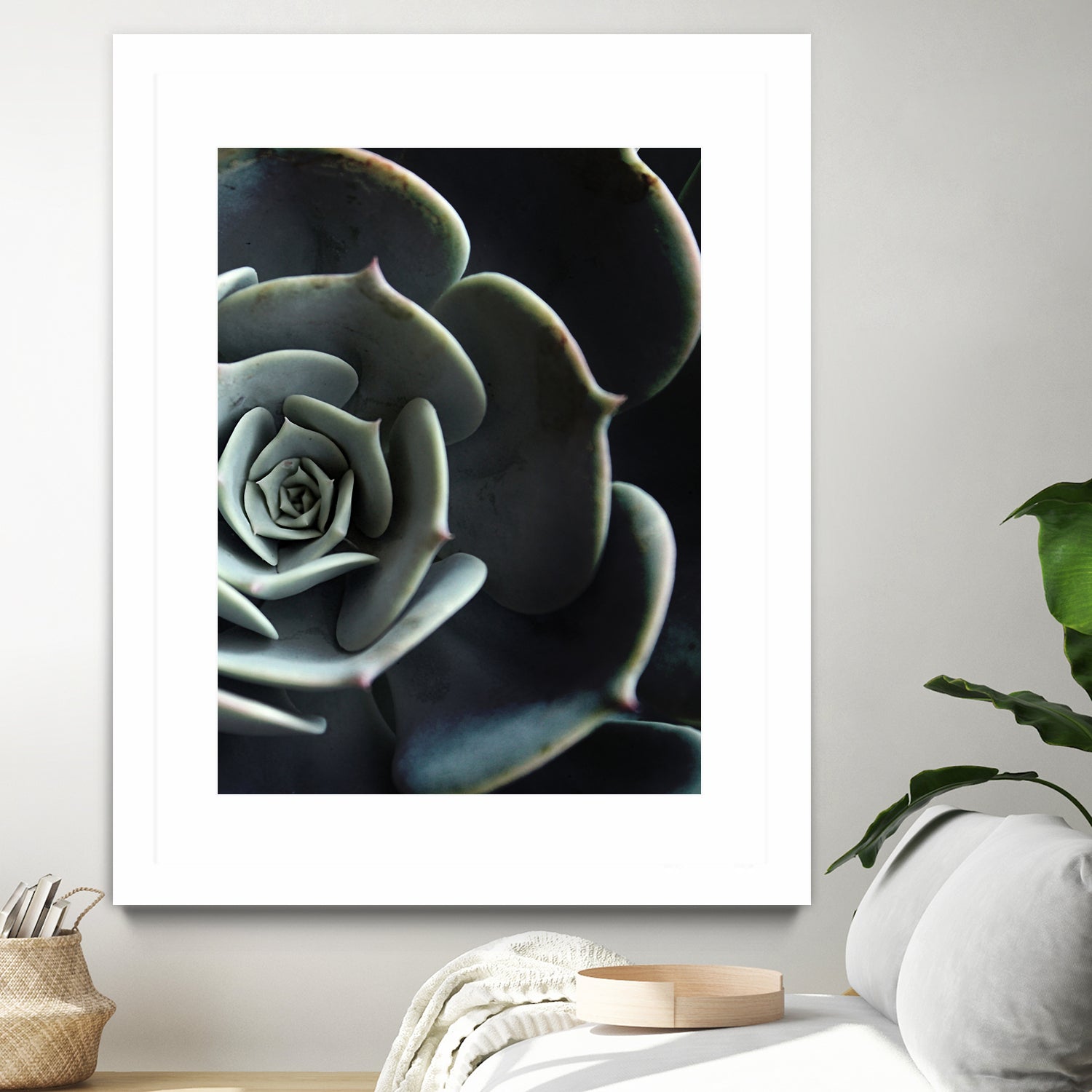 DARKSIDE OF SUCCULENTS XVI-B by Pia Schneider on GIANT ART - black photo manipulation