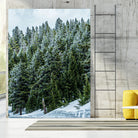 Pine Tree Forest Blue and Green Dense Forest by RJ Byrd on GIANT ART - green photo illustration