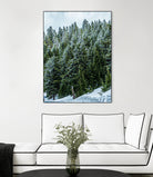 Pine Tree Forest Blue and Green Dense Forest by RJ Byrd on GIANT ART - green photo illustration