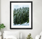 Pine Tree Forest Blue and Green Dense Forest by RJ Byrd on GIANT ART - green photo illustration