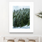 Pine Tree Forest Blue and Green Dense Forest by RJ Byrd on GIANT ART - green photo illustration