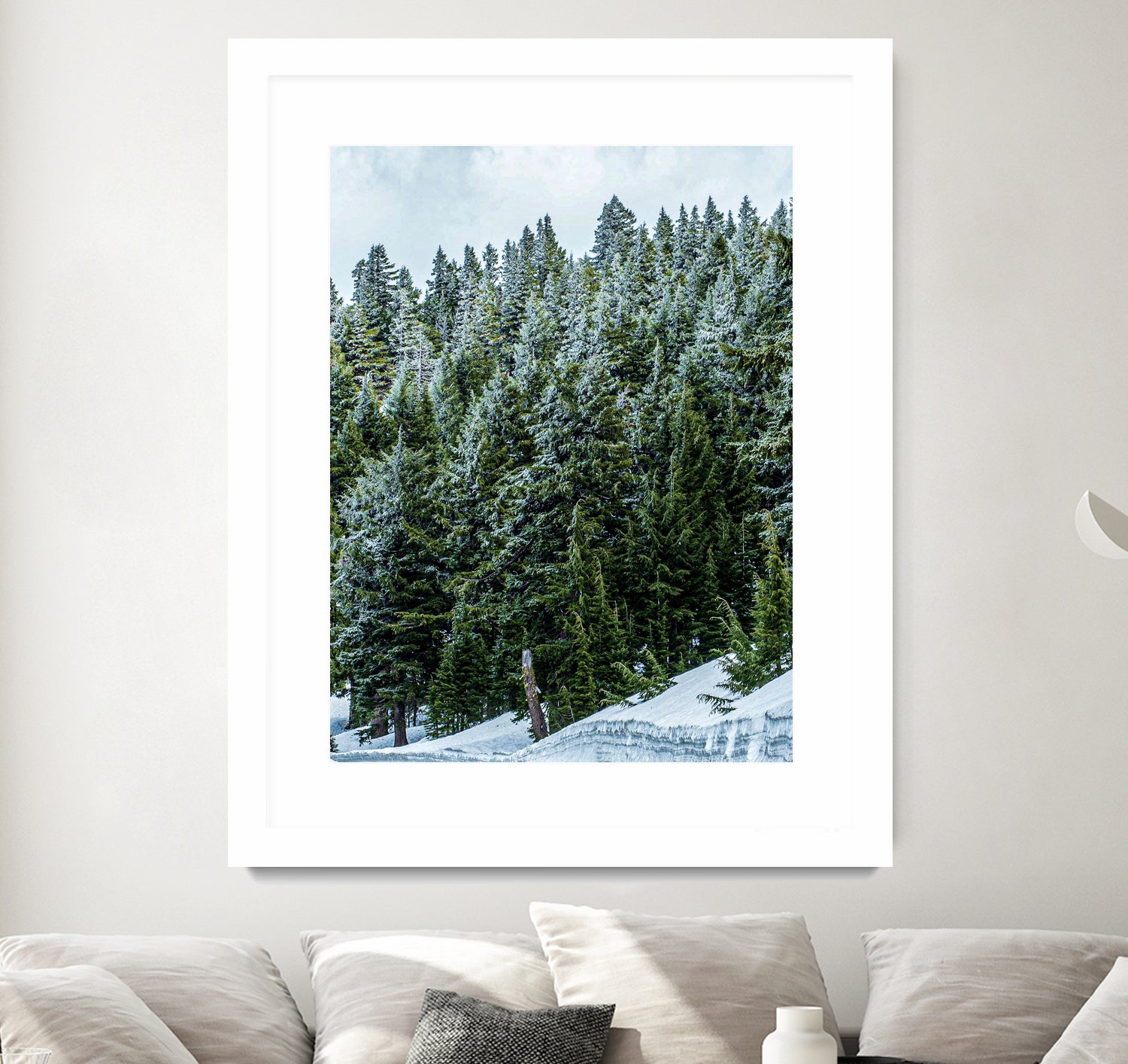 Pine Tree Forest Blue and Green Dense Forest by RJ Byrd on GIANT ART - green photo illustration