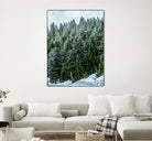 Pine Tree Forest Blue and Green Dense Forest by RJ Byrd on GIANT ART - green photo illustration