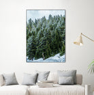 Pine Tree Forest Blue and Green Dense Forest by RJ Byrd on GIANT ART - green photo illustration