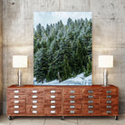 Pine Tree Forest Blue and Green Dense Forest by RJ Byrd on GIANT ART - green photo illustration