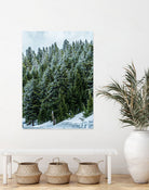 Pine Tree Forest Blue and Green Dense Forest by RJ Byrd on GIANT ART - green photo illustration