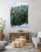 Pine Tree Forest Blue and Green Dense Forest by RJ Byrd on GIANT ART - green photo illustration