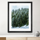 Pine Tree Forest Blue and Green Dense Forest by RJ Byrd on GIANT ART - green photo illustration