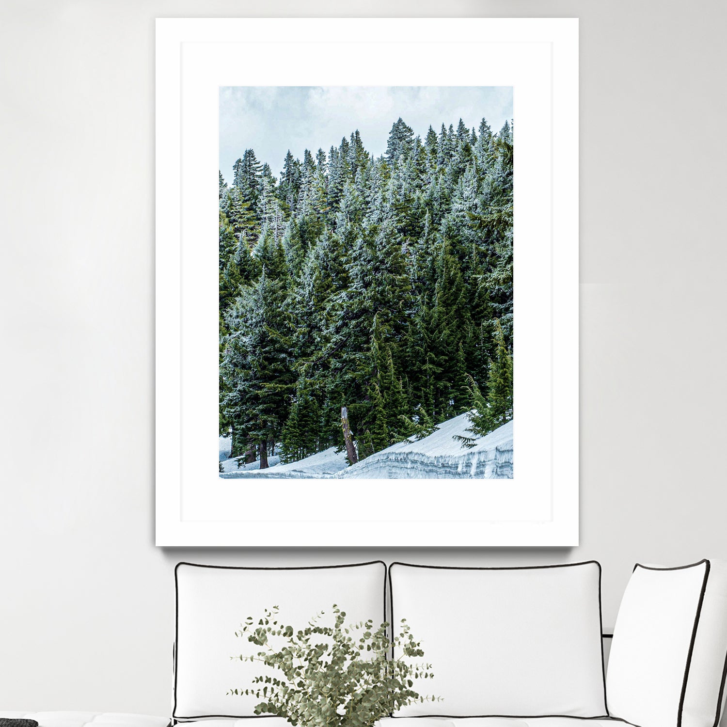 Pine Tree Forest Blue and Green Dense Forest by RJ Byrd on GIANT ART - green photo illustration