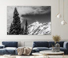 Trees Taller than the Highest Peak by Alex Tonetti on GIANT ART - gray photo illustration