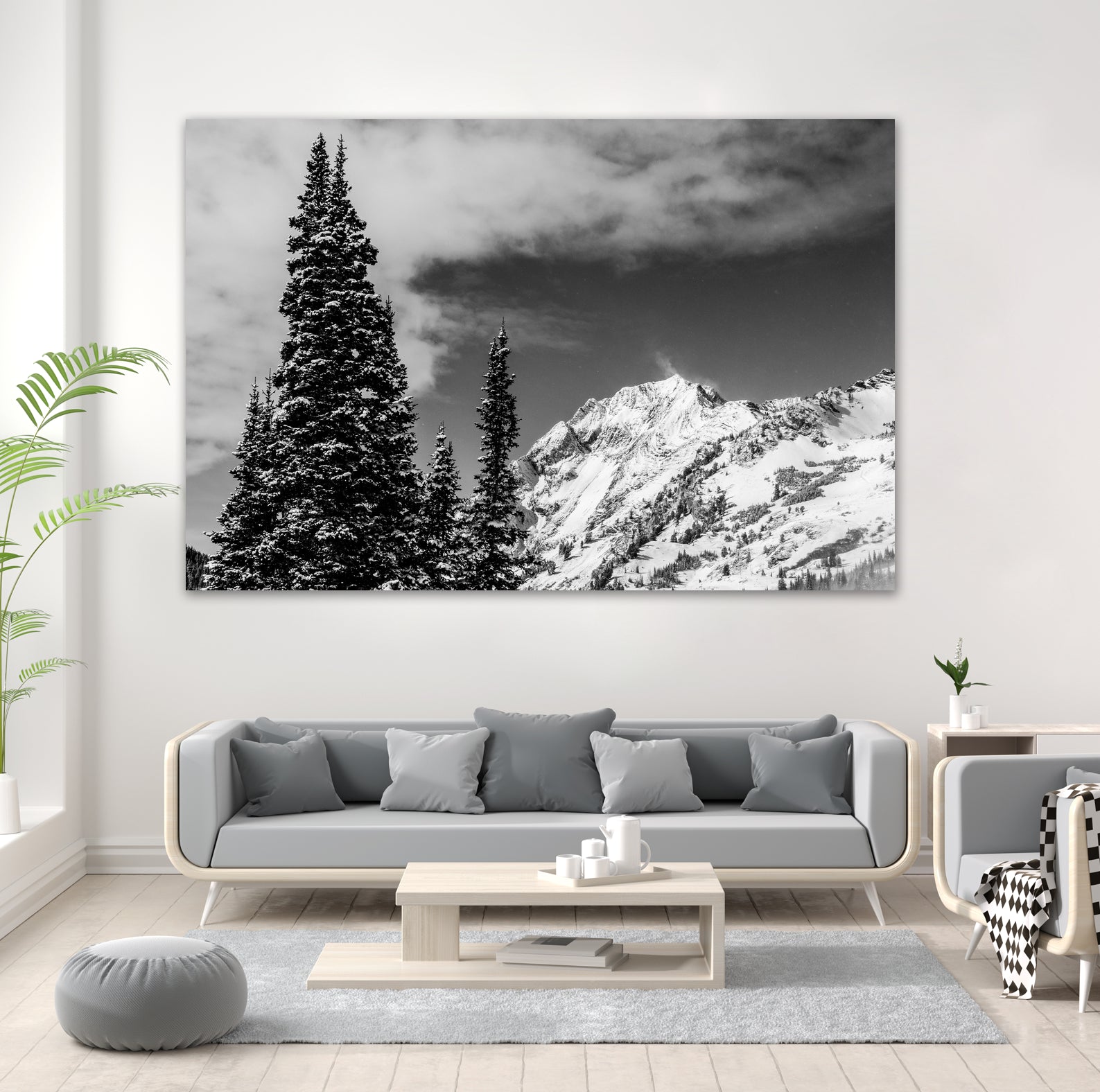 Trees Taller than the Highest Peak by Alex Tonetti on GIANT ART - gray photo illustration