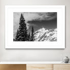 Trees Taller than the Highest Peak by Alex Tonetti on GIANT ART - gray photo illustration