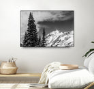 Trees Taller than the Highest Peak by Alex Tonetti on GIANT ART - gray photo illustration