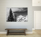 Trees Taller than the Highest Peak by Alex Tonetti on GIANT ART - gray photo illustration