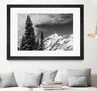 Trees Taller than the Highest Peak by Alex Tonetti on GIANT ART - gray photo illustration