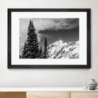 Trees Taller than the Highest Peak by Alex Tonetti on GIANT ART - gray photo illustration