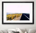 Along the Salt Flats by Alex Tonetti on GIANT ART - yellow photo illustration