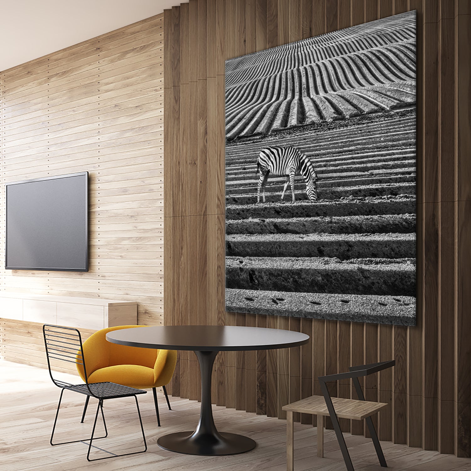 Zebra Field by Dariusz Klimczak on GIANT ART - gray photo illustration