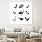 Bird Farm by Martina Dirce Carcano on GIANT ART - white digital painting