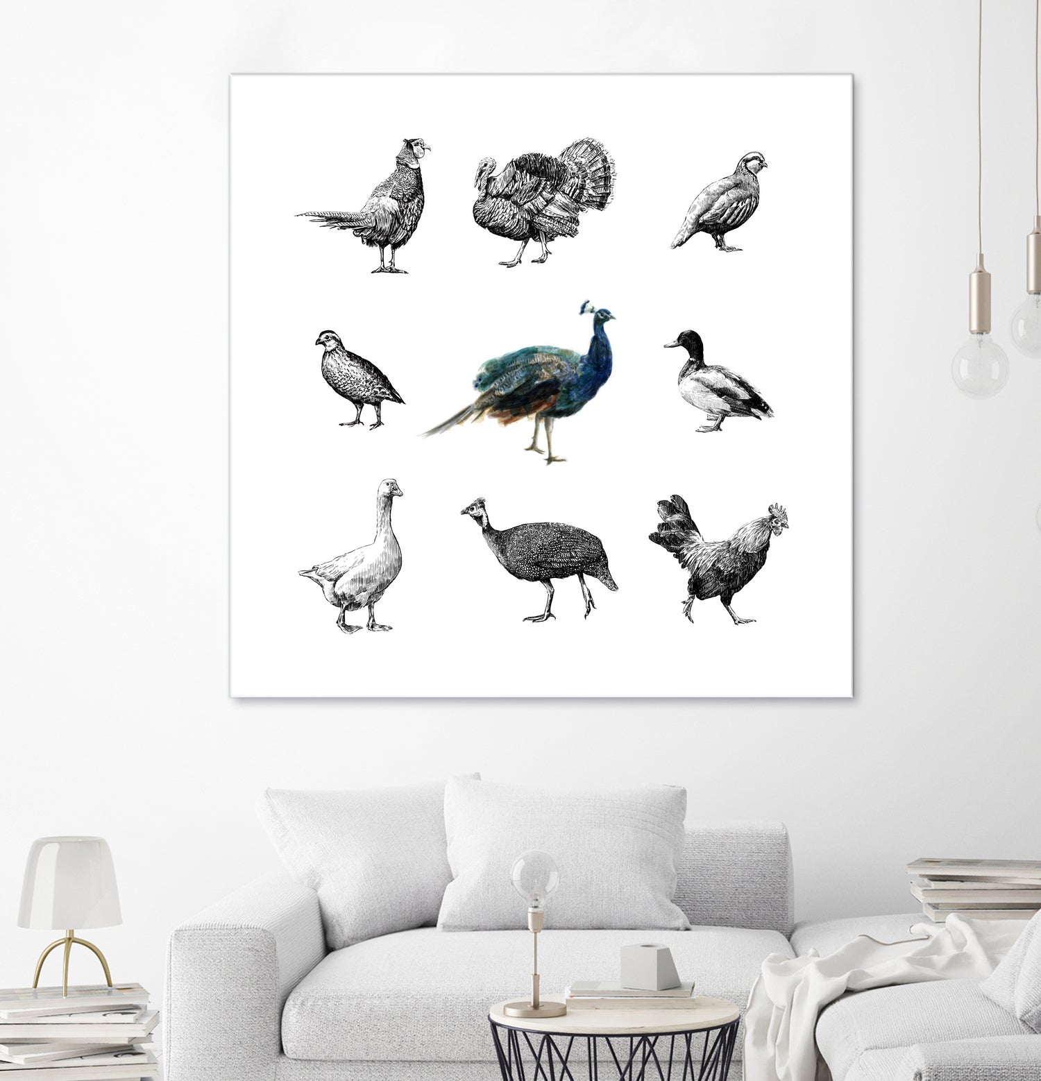 Bird Farm by Martina Dirce Carcano on GIANT ART - white digital painting