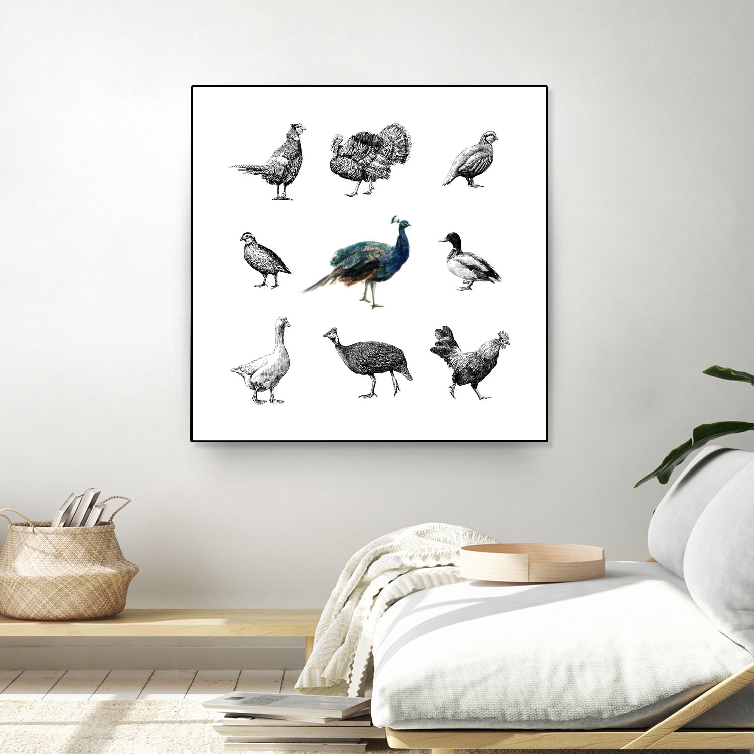 Bird Farm by Martina Dirce Carcano on GIANT ART - white digital painting