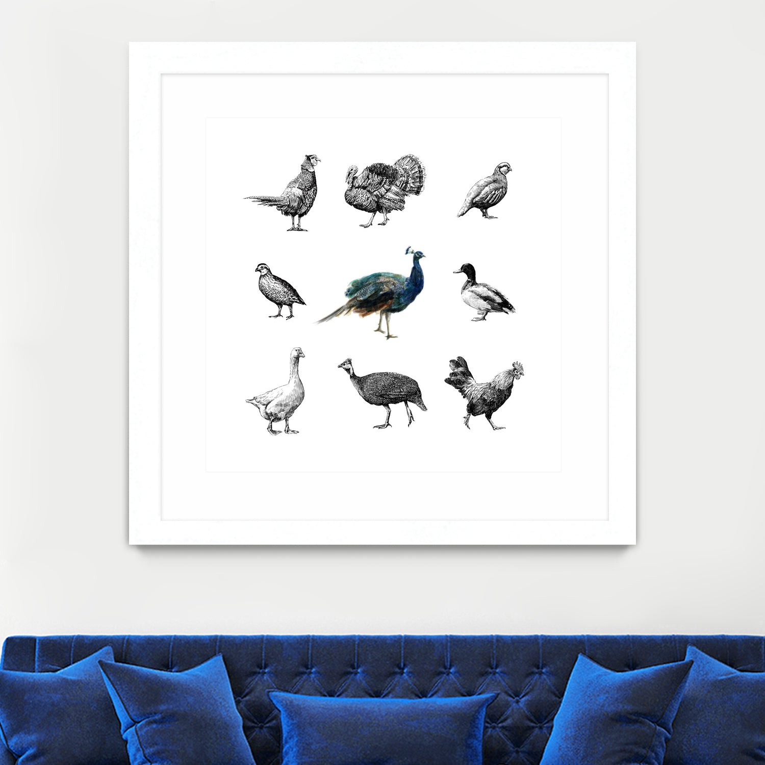 Bird Farm by Martina Dirce Carcano on GIANT ART - white digital painting